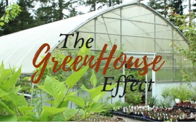 Have you heard of the Green House Effect? Watch this short video of what God is doing behind bars!