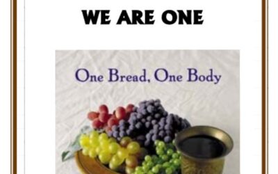 #24 We Are One -PMA Blog -Devos by Pastor Hollier